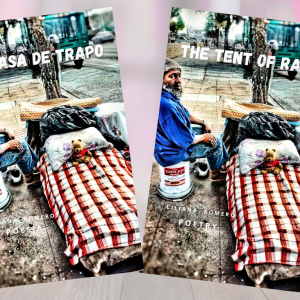 La Casa de Trapo. Poesía.