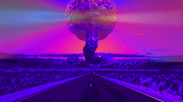 LA TENDENCIA BéLICA EN EL HOMBRE